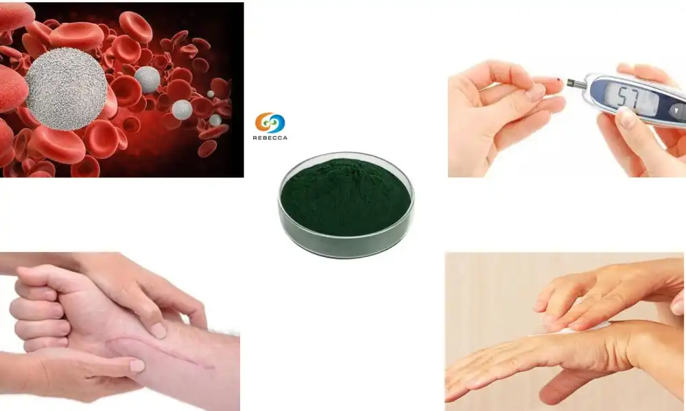 Comparing Wheatgrass and Chlorophyll Powder